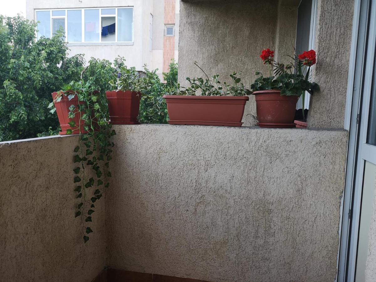 Appartement Apartament Anca à Constanţa Extérieur photo